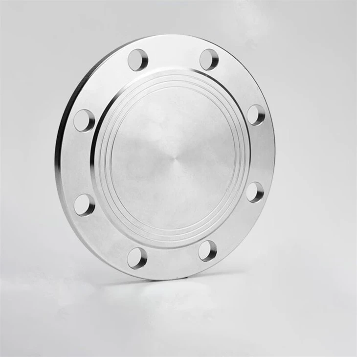 Stainless Steel Forged Flange suppliers
